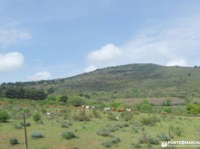 Línea Férrea Madrid-Burgos - Ruteando la RFIG 102; el tranco la pedriza parador nacional de turismo 